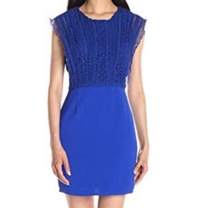 Greylin Crochet Lace Dress size Large NWT